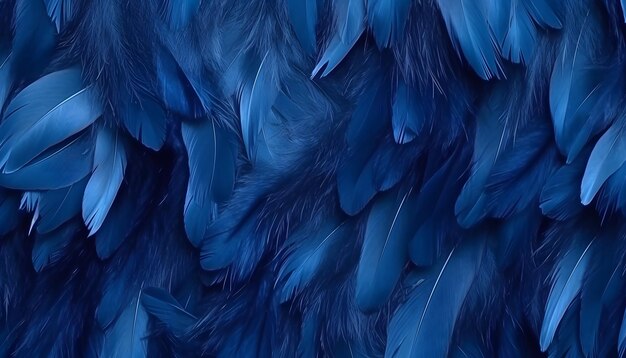 Blue feathers closeup background