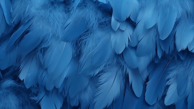 Foto _blue_feathers_texture_ background