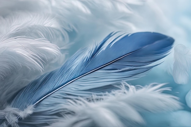 blue feathers on a white backgroundblue feathers on a white backgroundfeather of a blue color with a