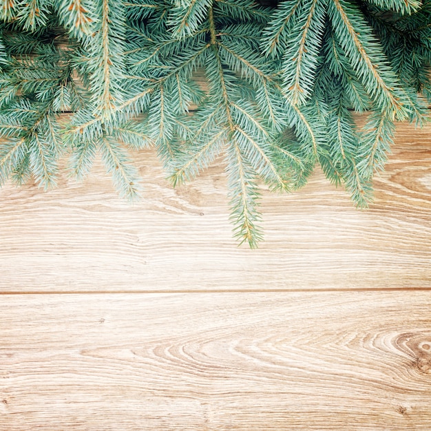 Blue fir tree border on wooden background