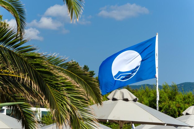 Photo blue flag as international ecological quality mark of beach against blue sky beach umbrellas and palm tree branches