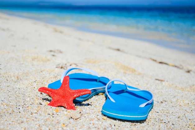 Blue flip flops and red starfish by the sea
