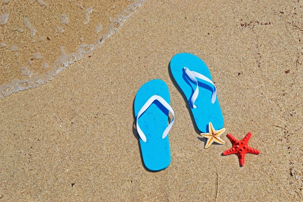 Blue flip flops and starfish by the sea