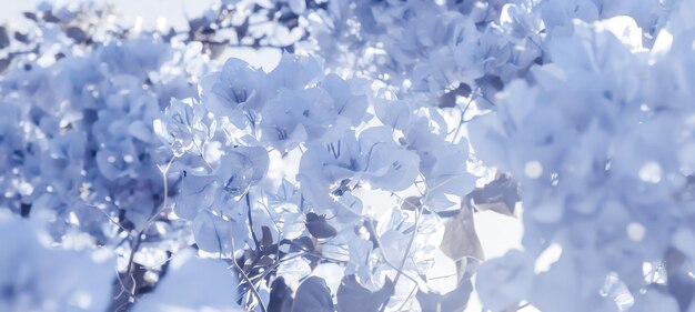 Blue floral composition