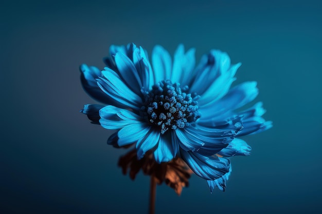 파란색 배경에 파란색 꽃