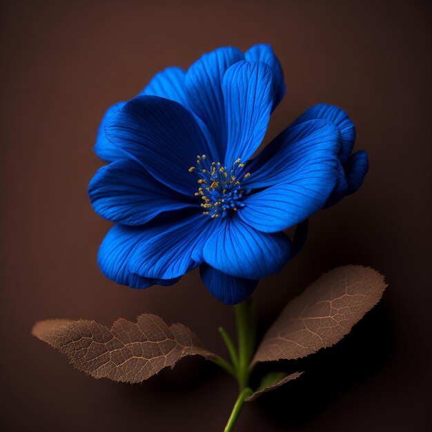 blue flower over brown background