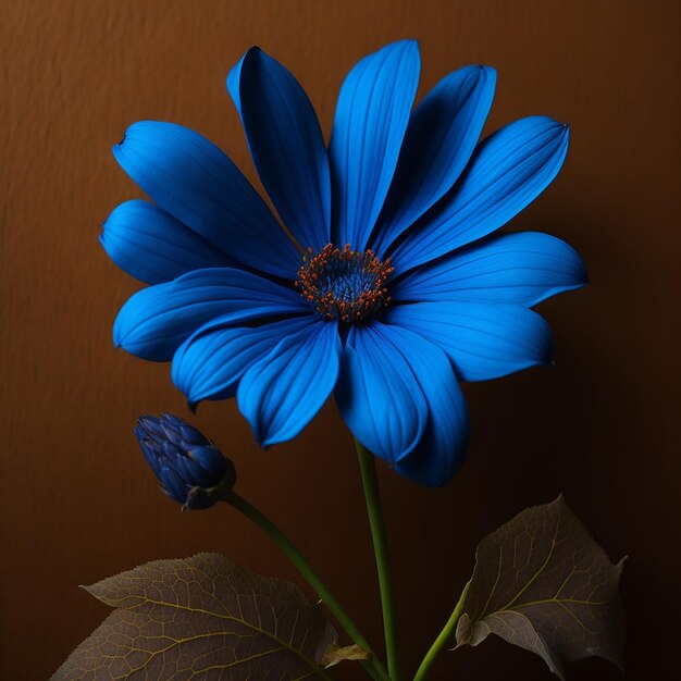 blue flower over brown background