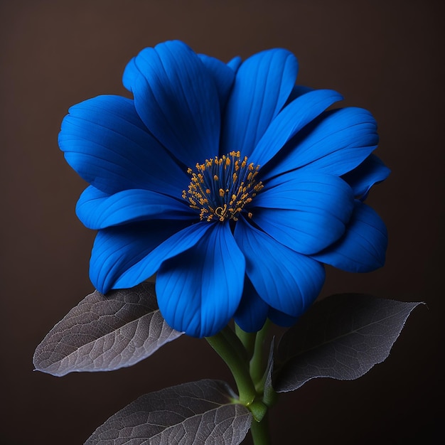 blue flower over brown background