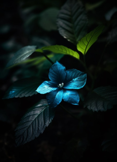 A blue flower in the dark