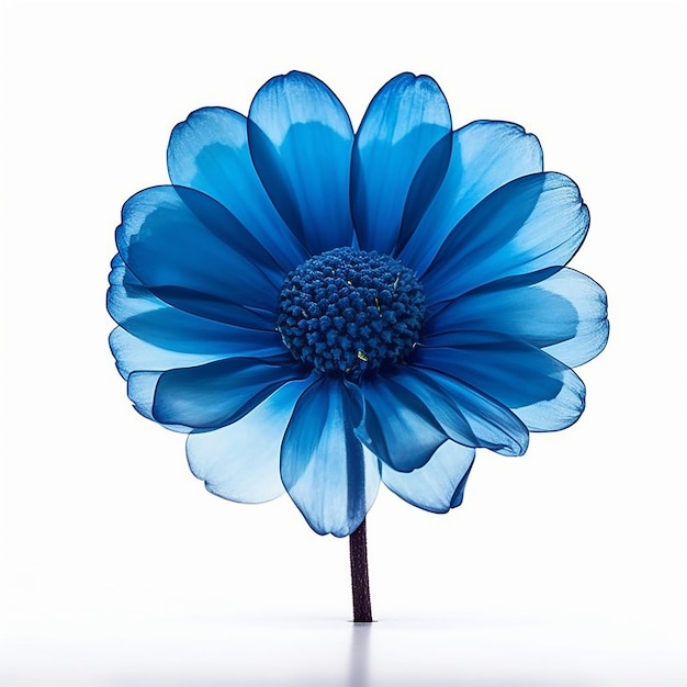 Blue Flower Elevation geïsoleerd op Clear