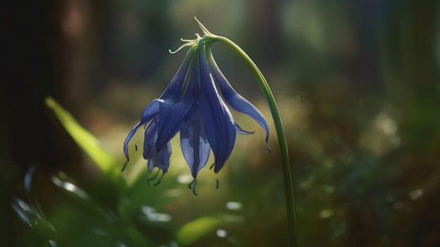 A blue flower in the forest