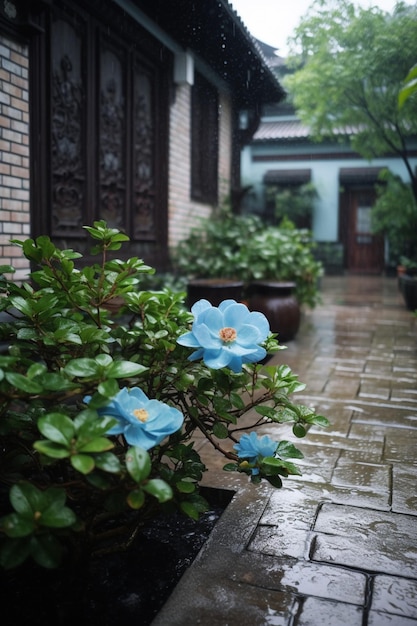 A blue flower in a garden with a brick wall and a building in the background.