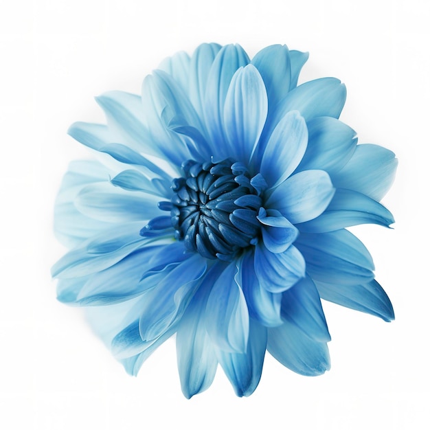 Blue flower isolated on white background png with transparency generate ai