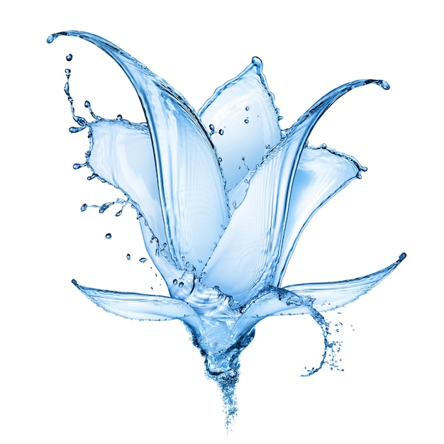 Blue flower made of water splash isolated on white surface