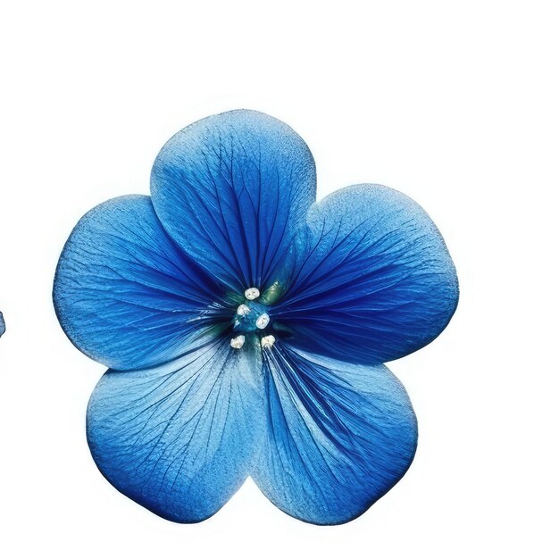 A blue flower with a blue petal that says " blue ".