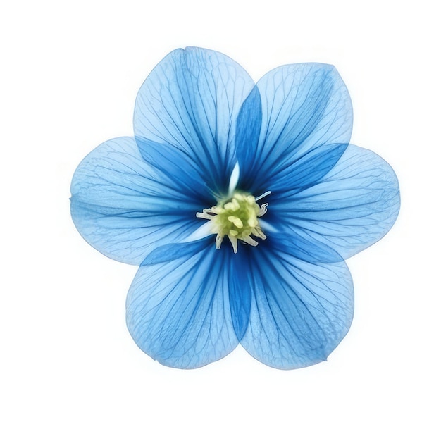 A blue flower with the green stem and the blue petals