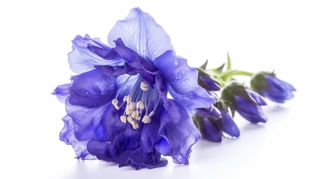 A blue flower with a green stem and a white background