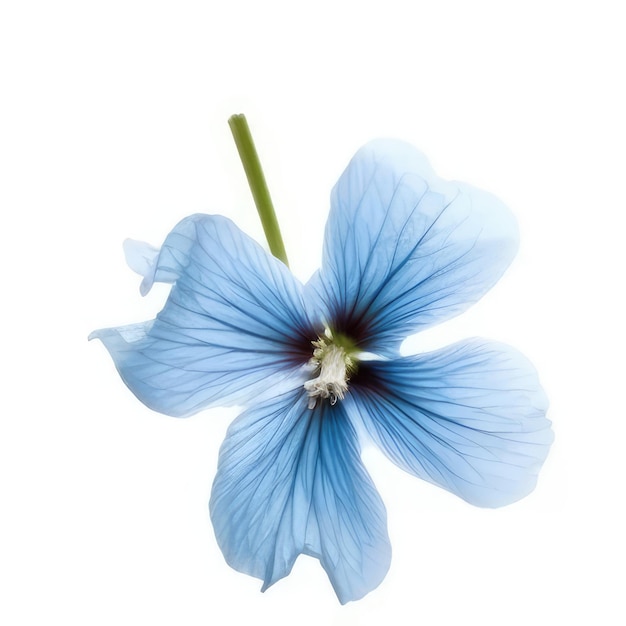 A blue flower with a green stem