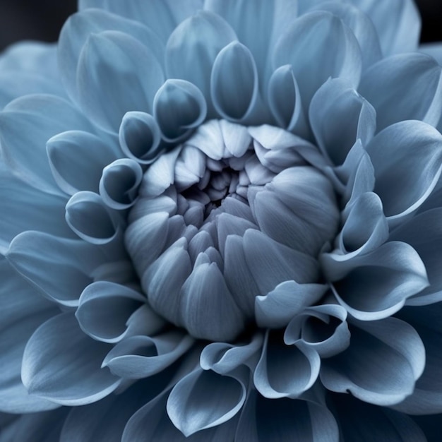 A blue flower with a large center