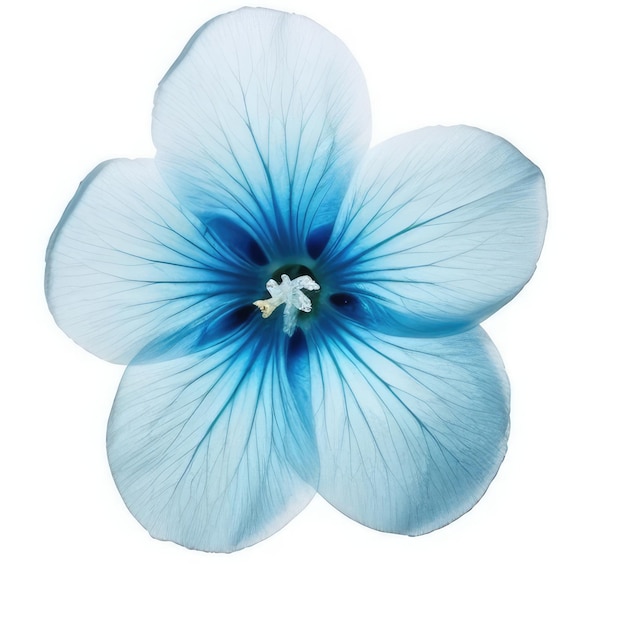 A blue flower with a white background with a blue stamen