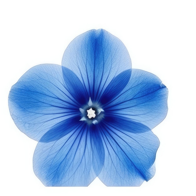 A blue flower with a white center that says'spring'on it