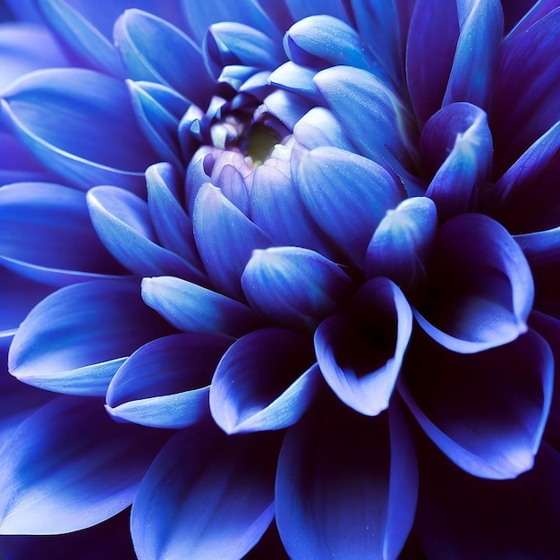 A blue flower with a white center