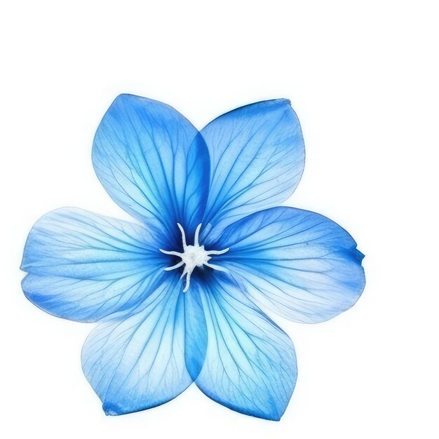 A blue flower with white spots on it