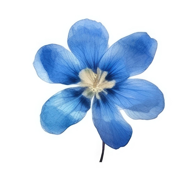 A blue flower with a yellow center and the top part of the left side.