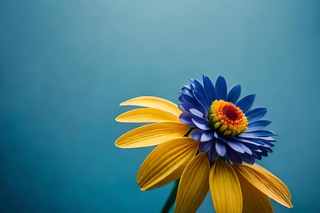 19+ Light Blue Floral Wallpaper