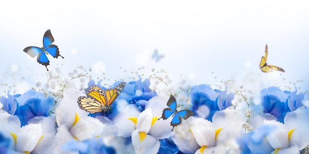 blue flowers background