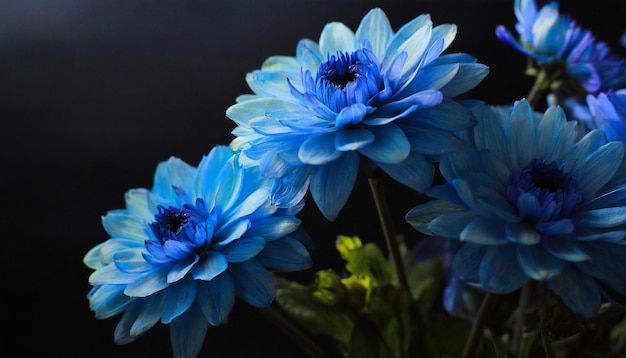 Blue flowers on black background screensaver