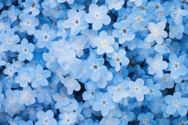 blue flowers in the garden