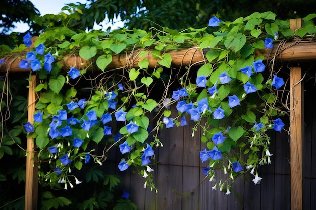 Blue flowers on a tree