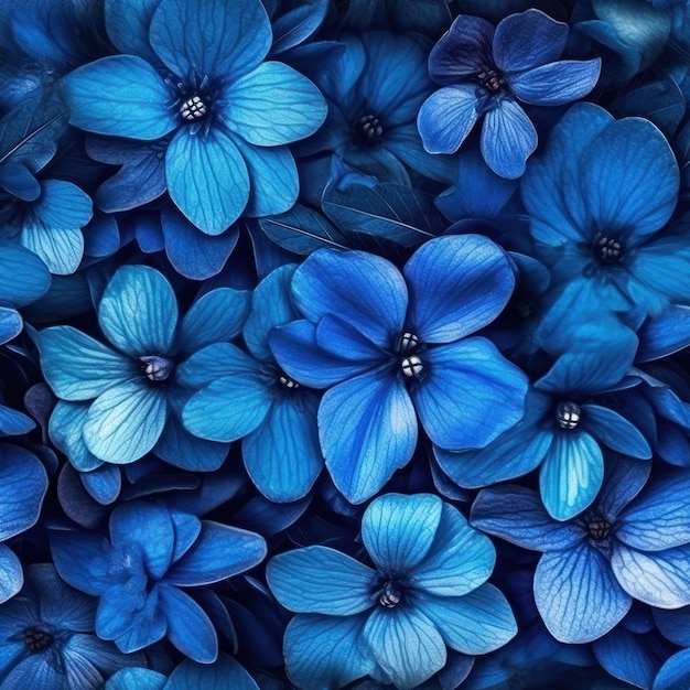 Black and Blue Flower iPhone Wallpapers  Top Free Black and Blue Flower  iPhone Backgrounds  WallpaperAccess