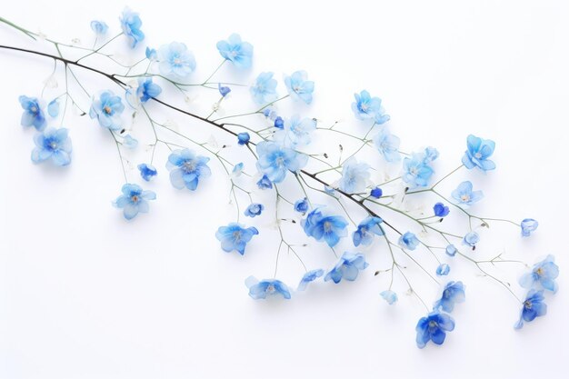 blue flowers on a white background