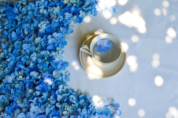 아름 다운 flatlay 배경에 대 한 흰색 바탕 화면에 파란색 꽃