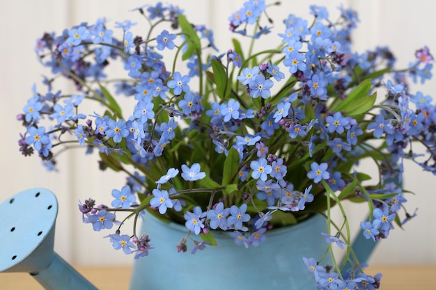 Blue forgetmenots