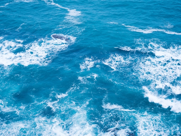 Blue frothy surface of sea water from above