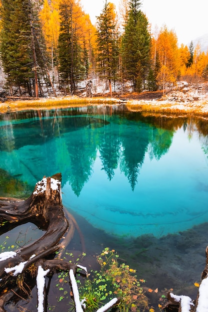 Blue geyser lake in autumn forest after snowfall Altai Siberia Russia Beautiful autumn landscape