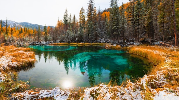 Blue geyser lake in yellow autumn forest after snowfall Altai mountains Siberia Russia Sun and trees are reflected in the water Autumn landscape