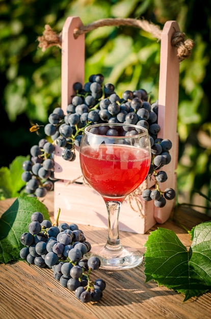 Blue grapes and grape juice in a glass