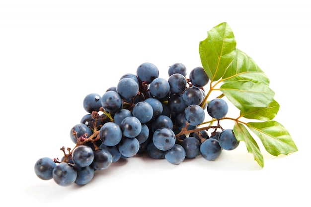 Blue grapes with leaf