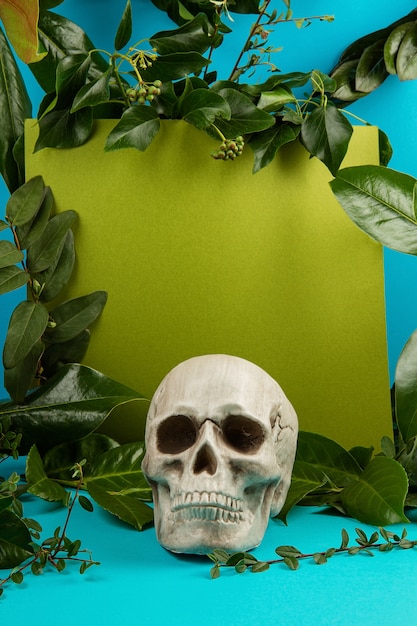 Blue and green background with green fresh leaves and plants and a scull.