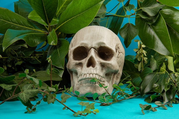 Blue and green background with green fresh leaves and plants and a scull.