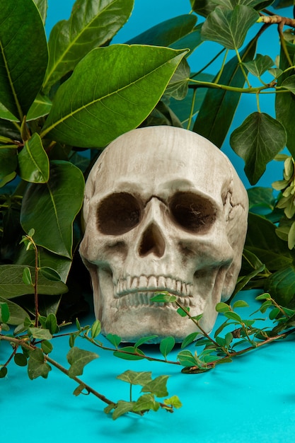 Blue and green background with green fresh leaves and plants and a scull.