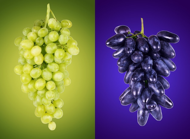 Blue and green grapes on a colored background