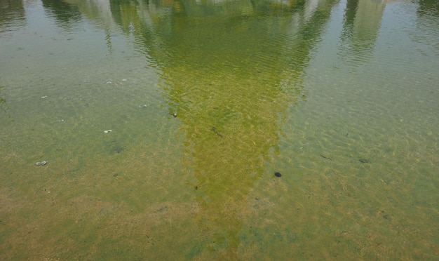 Blue green water surface background