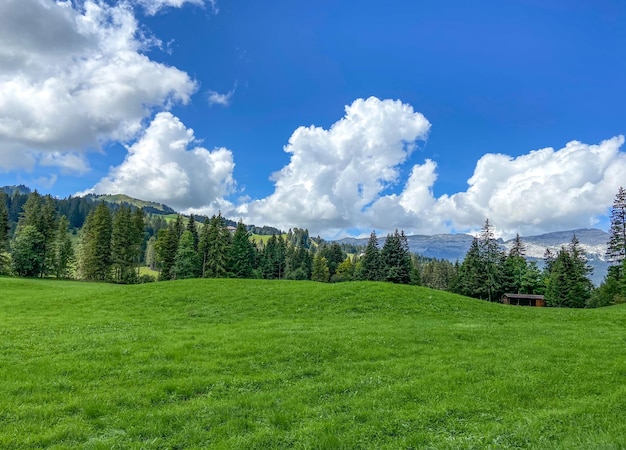 Photo blue and green