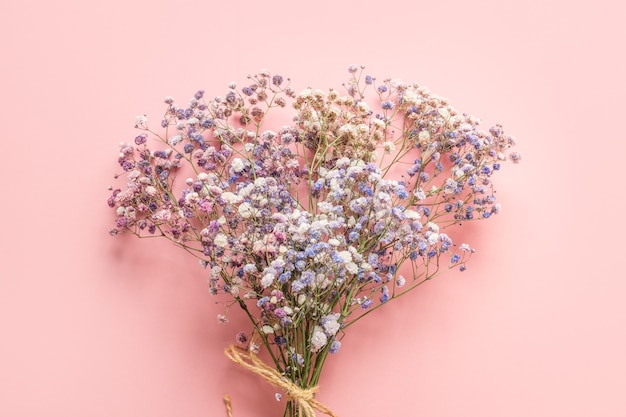 Blue gypsophila on pink background. Floral pattern.