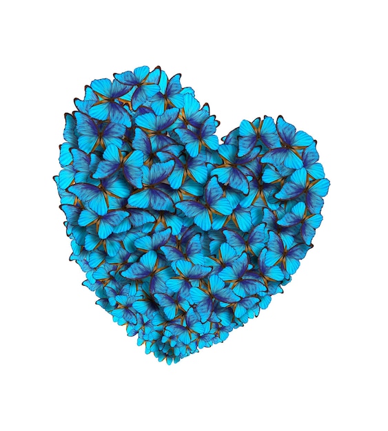 Photo blue heart in the shape of morpho butterflies